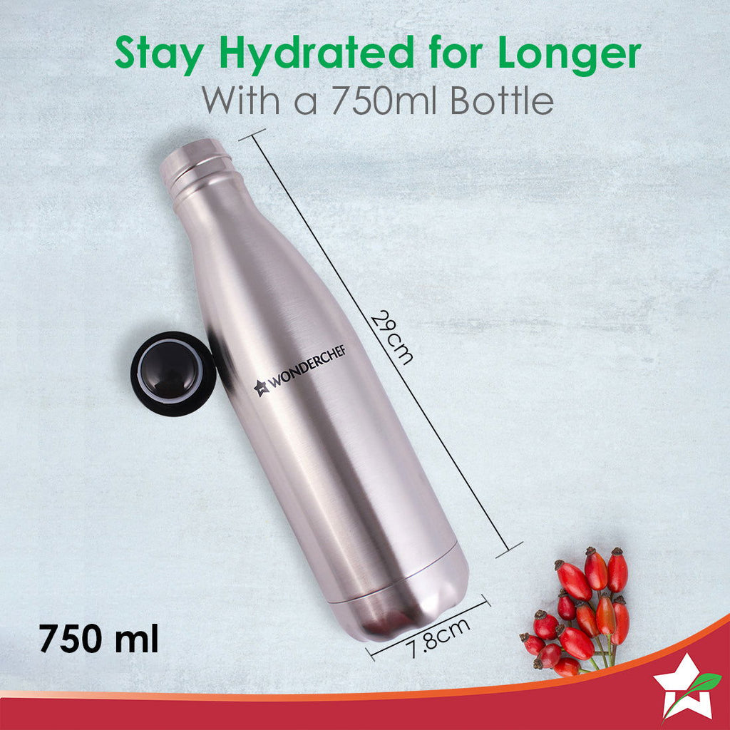 Aqua-Bot, 750ml, Double Wall Stainless Steel Vacuum Insulated Hot and Cold Flask, Spill & Leak Proof, Silver, 2 Years Warranty