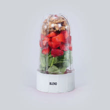 Load image into Gallery viewer, Big Jar with White base set-Nutri Blend