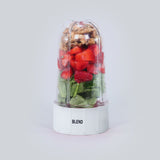 Big Jar with White base set-Nutri Blend