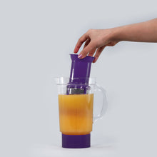 Load image into Gallery viewer, Nutri-blend B - Juicer Filter (Purple)