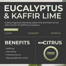 Load image into Gallery viewer, Rosemoore Home Scent Eucalyptus &amp; Kaffir Lime 100 ml