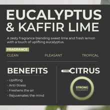 Load image into Gallery viewer, Rosemoore Scented Reed Diffuser Refill Eucalyptus &amp; Kaffir Lime 200 ml